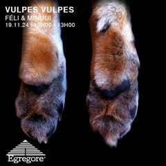 féli & Minuui - Vulpes Vulpes (Novembre 2024)