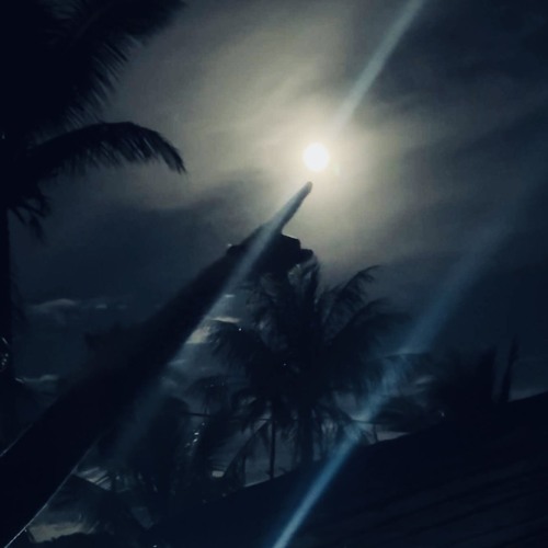 Spaify 2025 kerimang