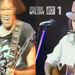 ORGAN TAPES: NEIL YOUNG SPECIAL 280725