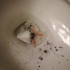 Fuck love car version by trippie redd ft playboi carti