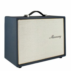 Guitar Riff Experiment on Harmony H605