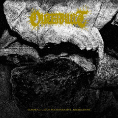 [TEMPORARY FREE DL] Outerkult - Anatomica Absentia