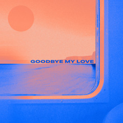 Goodbye My Love