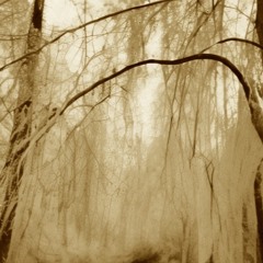 Rejected Spring