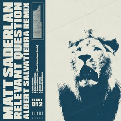 03. Matt Saderlan - Relevant Question (Albert Salvatierra Remix)