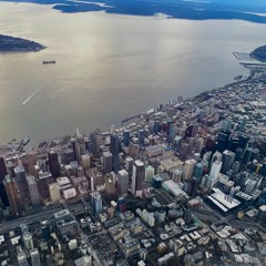 down the line - beach fossils