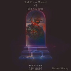 Ray Volpe Vs Gryffin - See You Drop Vs Just For A Moment (Matsium Mashup)