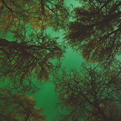 Ataxy - Relaxing Shampoo (Christina Giannone Remix)