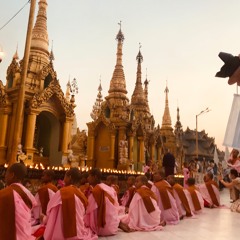 Pink Monk