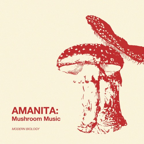 Stream Modern Biology Listen to Amanita Mushroom Music playlist