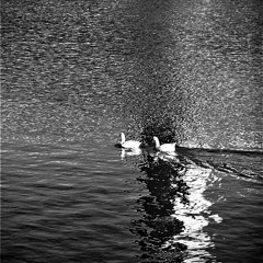 난 죽어가네,누군 내 이름도 모른체