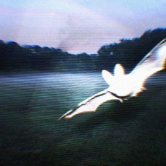 STRATUS (prod. Lonely)