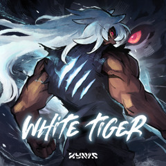 White Tiger 【Expert Global Taiko Showdown 2025 SF TB】