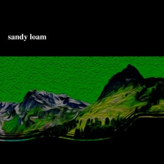 sandy loam
