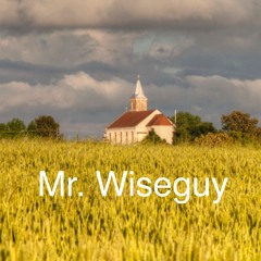 Mr Wiseguy