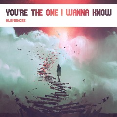 You're The One I Wanna Know (mashup)