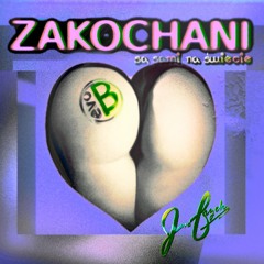 Evo Bschek - Zakochani (Short Edit)