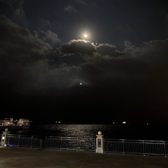 ياليـل يا جامع على الودّ قلبين