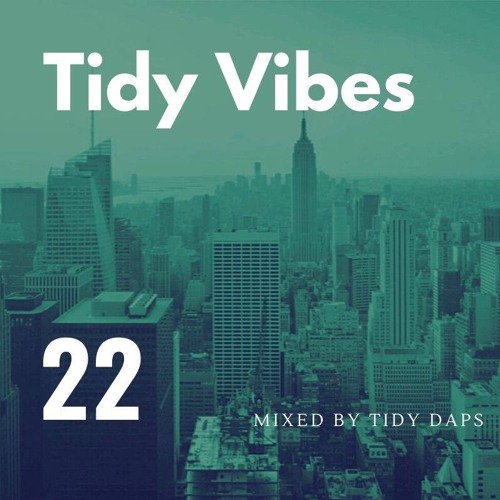 Tidy Vibes vol. 22