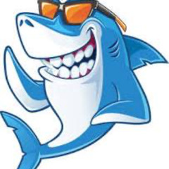 SHARK 600 Freestyle