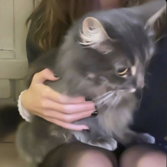 تصير حلوه تصير مرا يبن القحبه