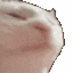 Willro- CatJAM (Kevvo'n'SnOh! Remix)