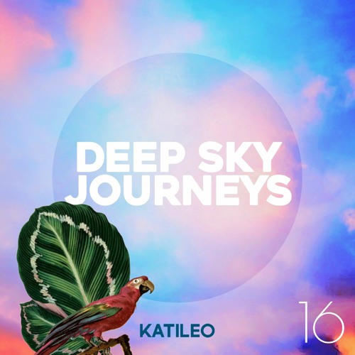 Deep Sky Journeys 16