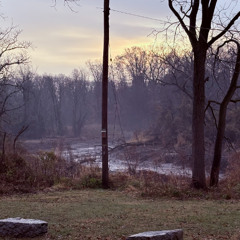 purgatory (under the maple tree)