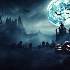 Don XXpress Halloween Mesh
