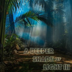 A Deeper Shade Of Light III Derek Monteiro