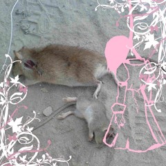 I Want To Wear Your Face