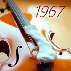 1967 right  sock