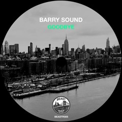 Premiere: Barry Sound - Goodbye  [Beast River Records]