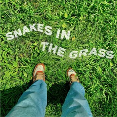 Snakes In The Grass (demo)