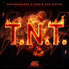 T.N.T. (Techno Mix)