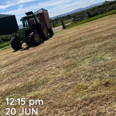 This Is The Life (The Highstool Prophets)