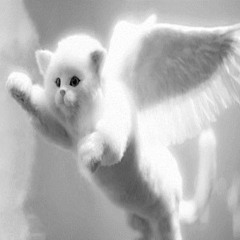 kkamiistar - dont look at me im a monster // #😓 #🔽