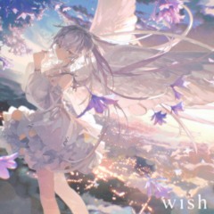 wish + kid sora & victxrw (kuriyai)