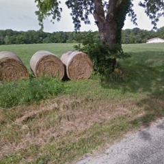 No Earthly Business in a Maine Hayfield