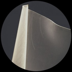 Divide & Elias. - Physarum LP (Tremsix) Alexander Kowalski, Oisel & Jonas Kopp Remixes.