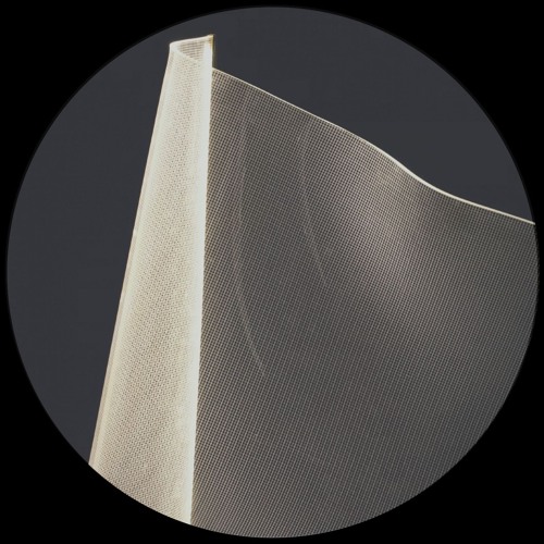 Divide & Elias. - Physarum LP (Tremsix) Alexander Kowalski, Oisel & Jonas Kopp Remixes.