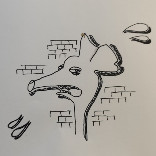zoom_vl_sample_v3