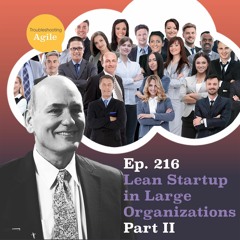 Lean Startup in Large Organizations Part II