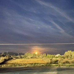 Blood Moon