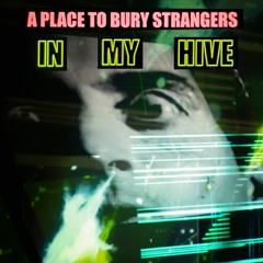 A Place To Bury Strangers - In My Hive