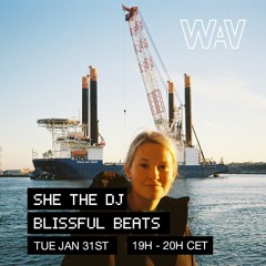 She The Dj presents Blissful Beats at We Are Various | 31-01-23