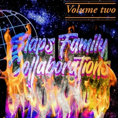 SLAPS FAMILY Collaborations Vol. 2