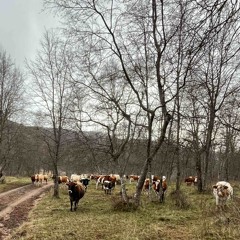 SES X BREECH - B2B SESION SAB 25 OCTUBRE