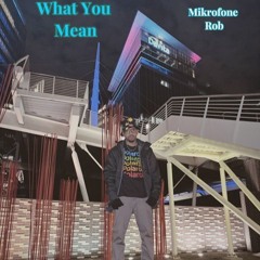 What You Mean