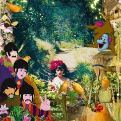 Revolution - Live Beatles Cover